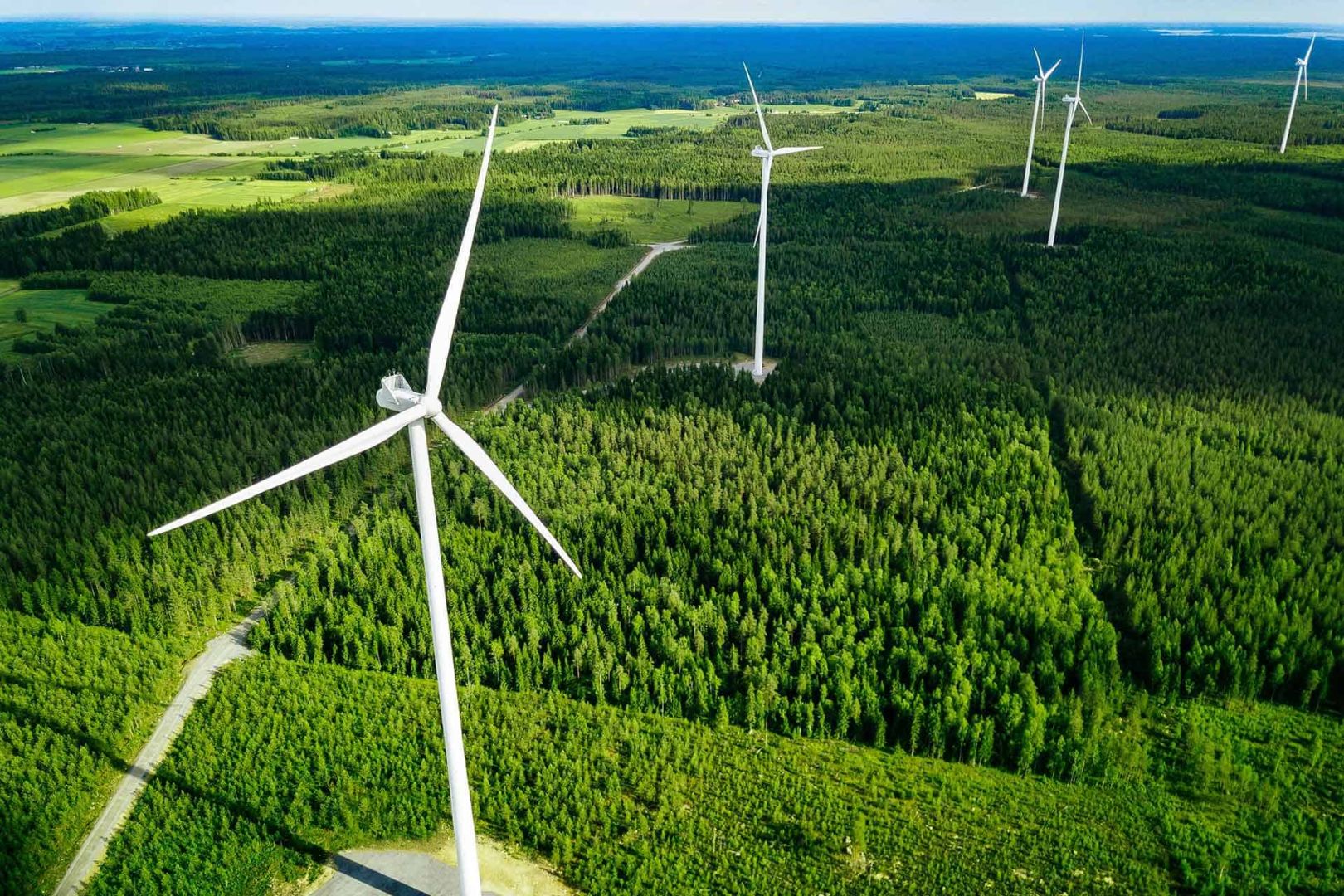 Magíster en Derecho de los Recursos Naturales y Medio Ambiente